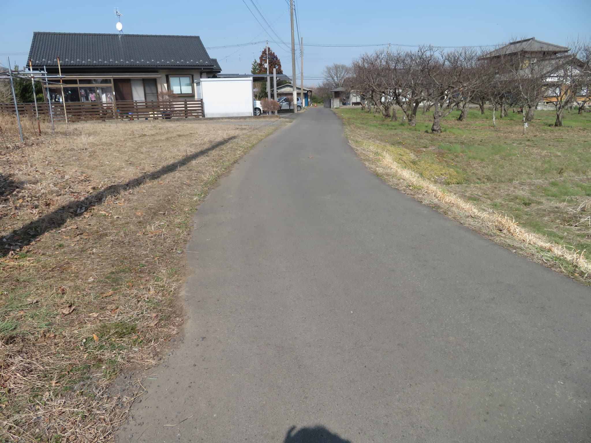 茨城県笠間市下郷C(土地)