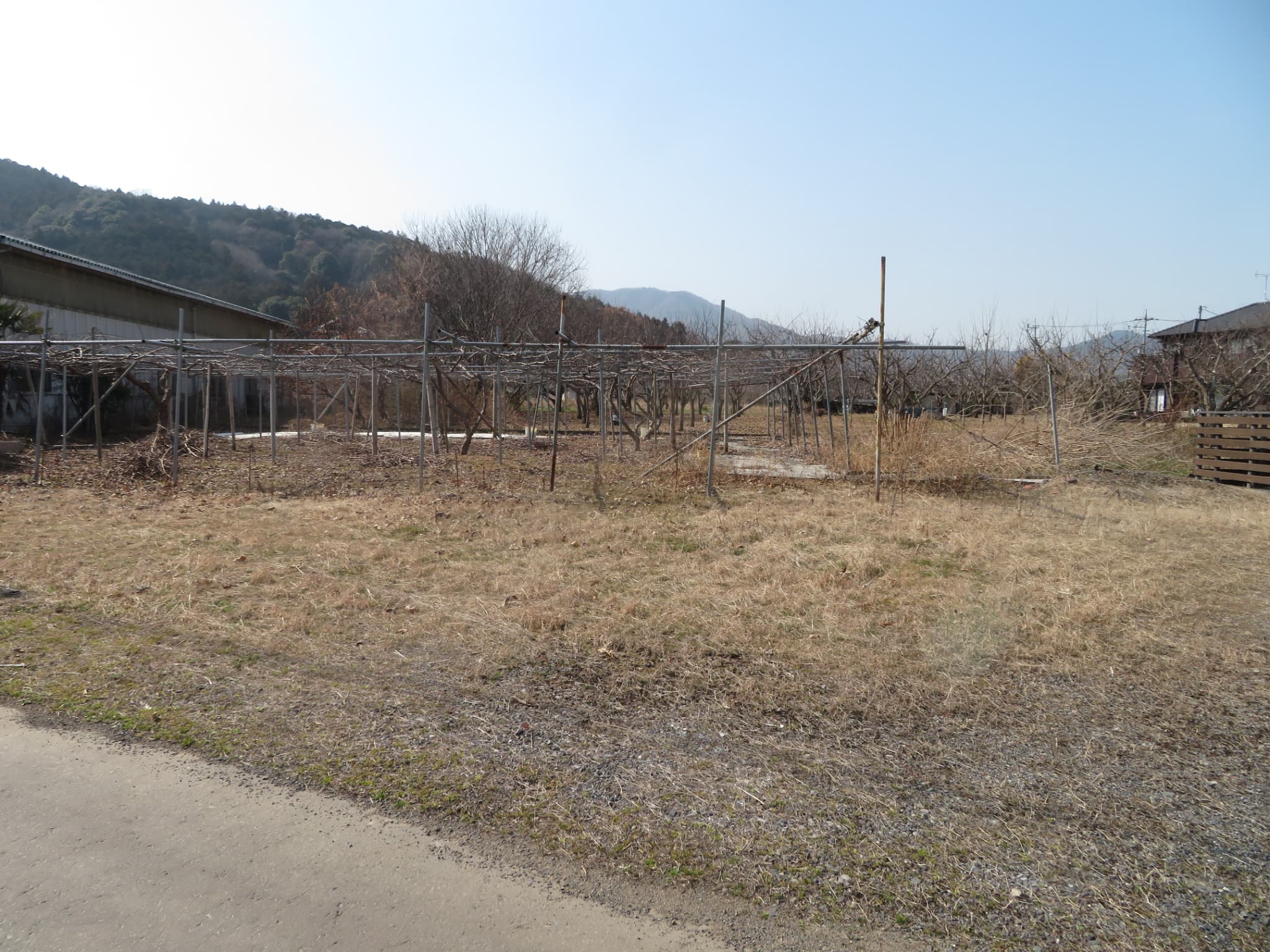 茨城県笠間市下郷C( 土地 )