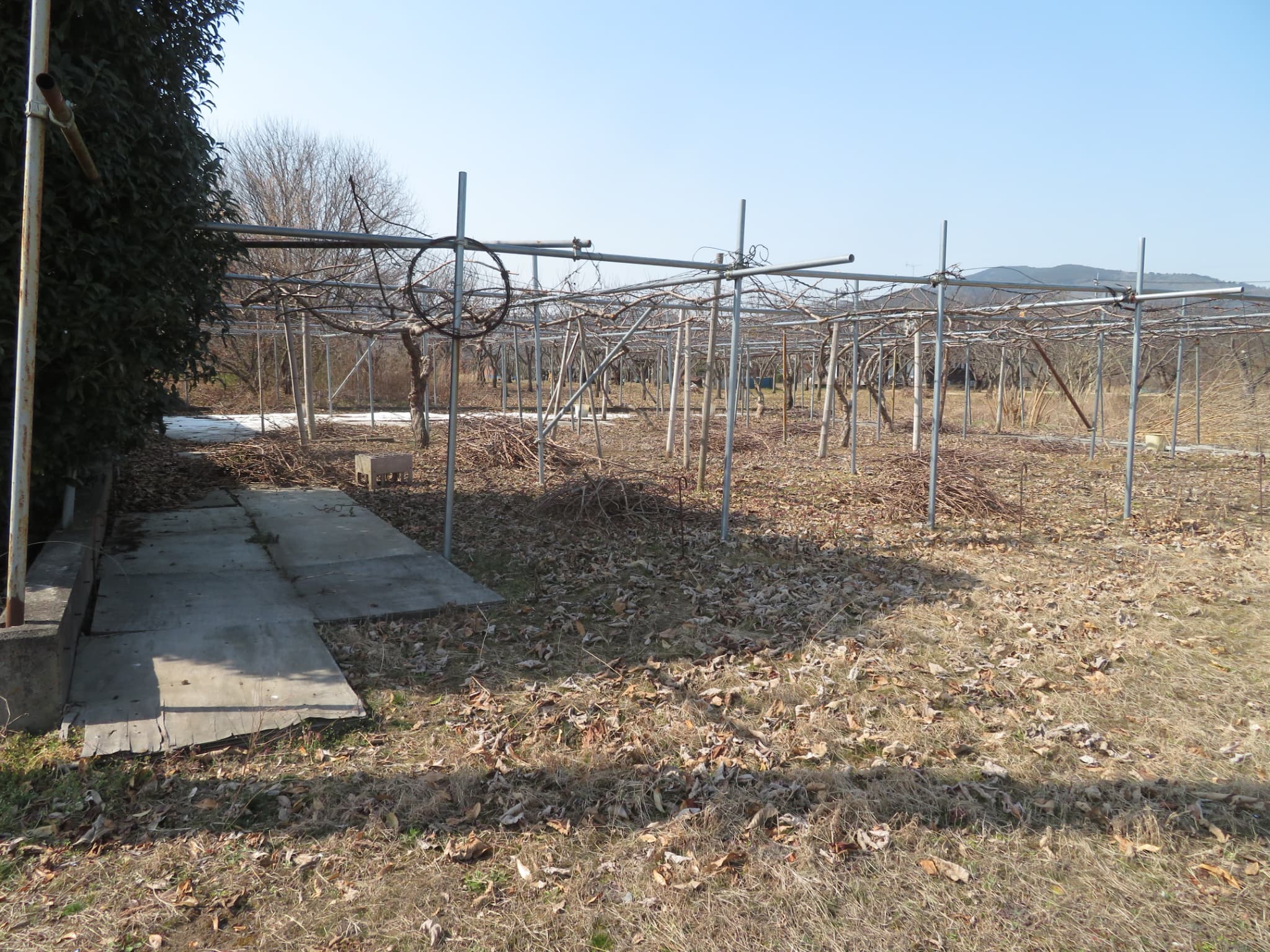 茨城県笠間市下郷C(土地)