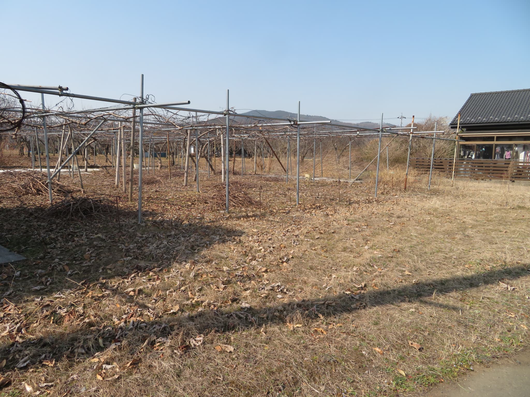 茨城県笠間市下郷C(土地)